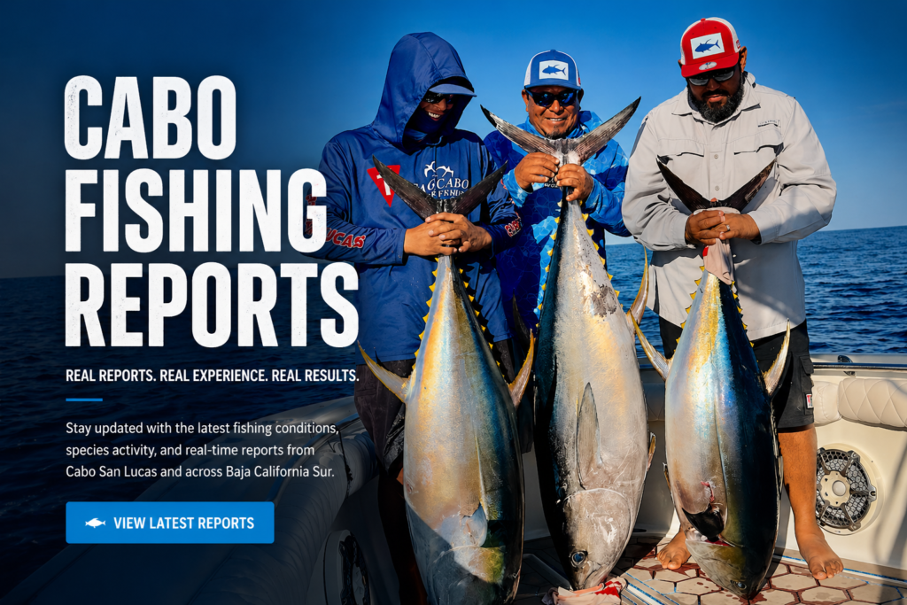 Cabo Fishing Reports
