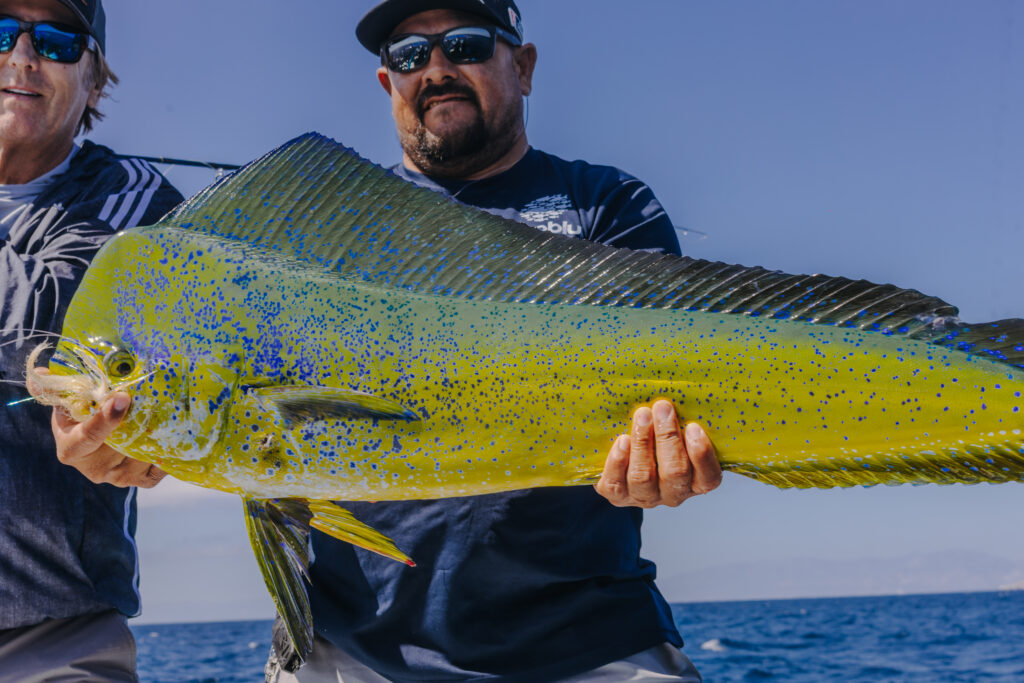 La Paz Fishing Report
