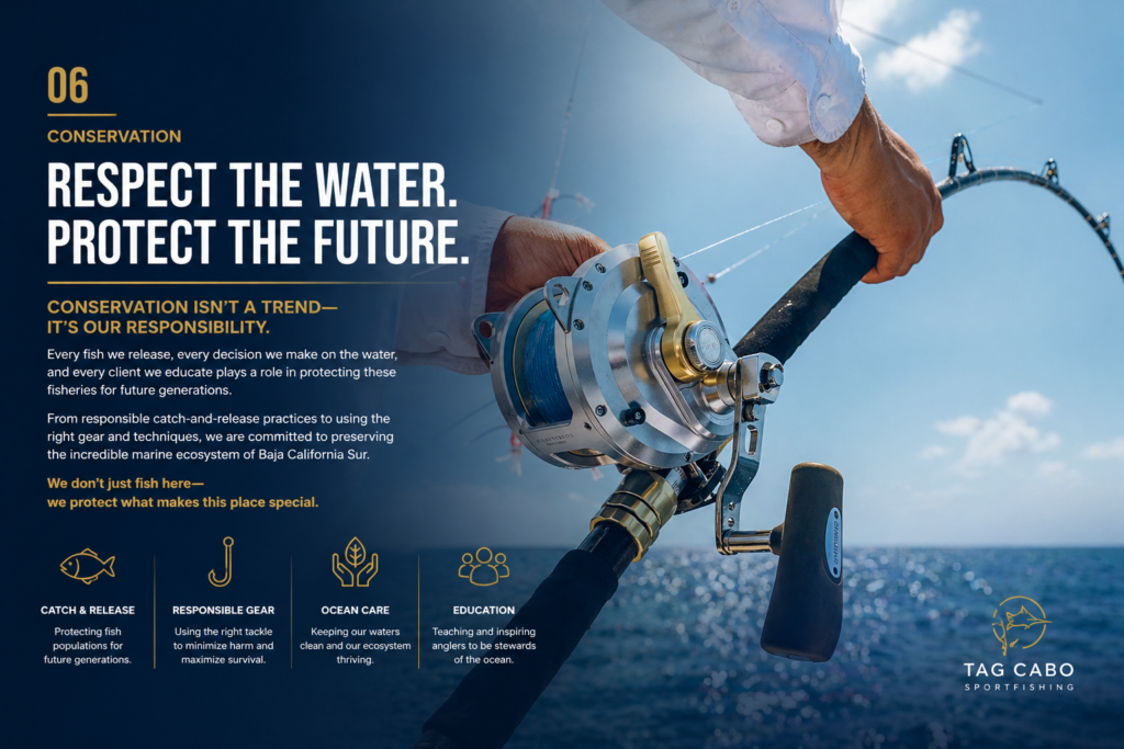 Fishing Conservation in Los Cabos