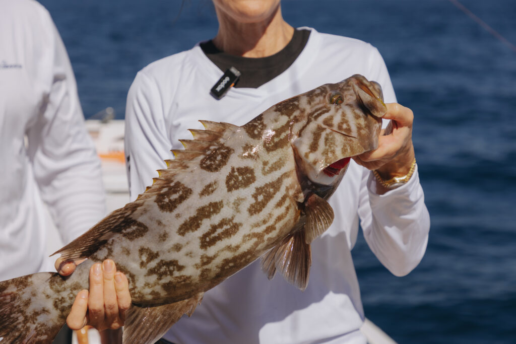 Luxury fishing charter Cabo