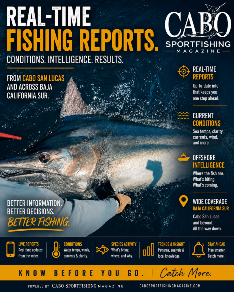 Baja Fishing Reports Marlin Negro