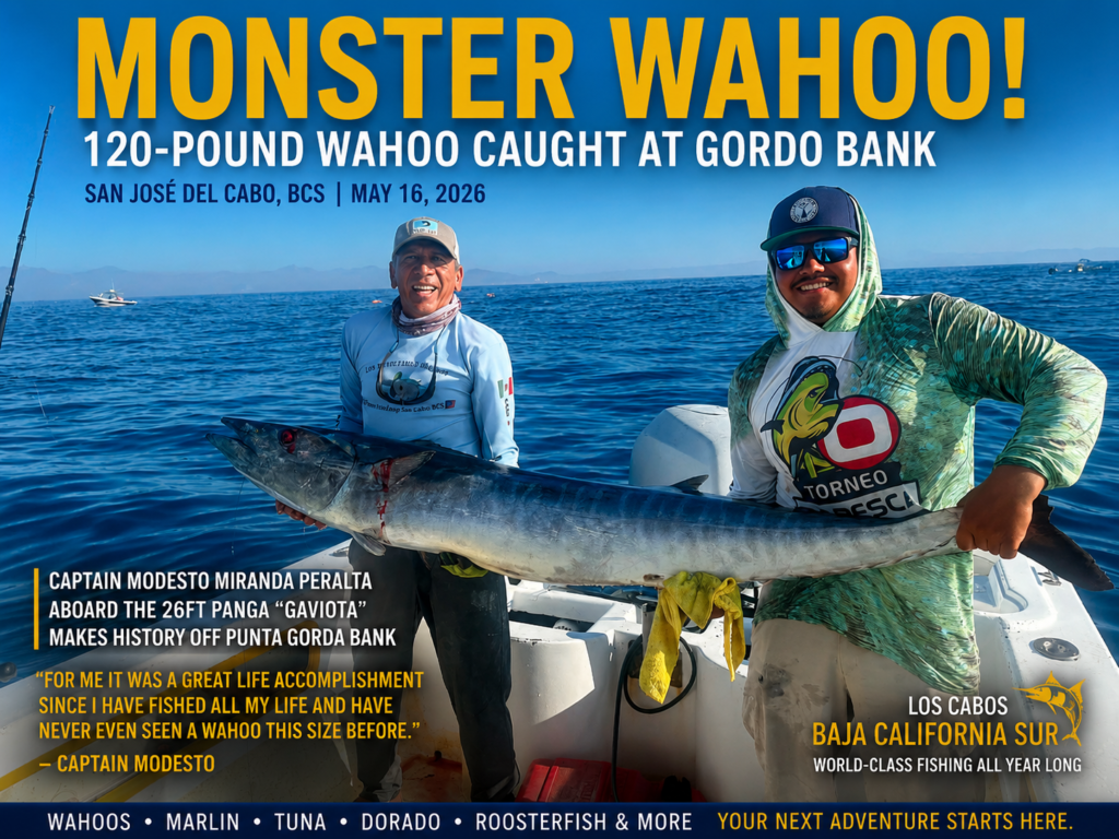 Monster 120-Pound Wahoo Caught at Gordo Bank