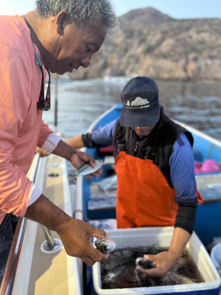 My First Time Fishing Cabo
