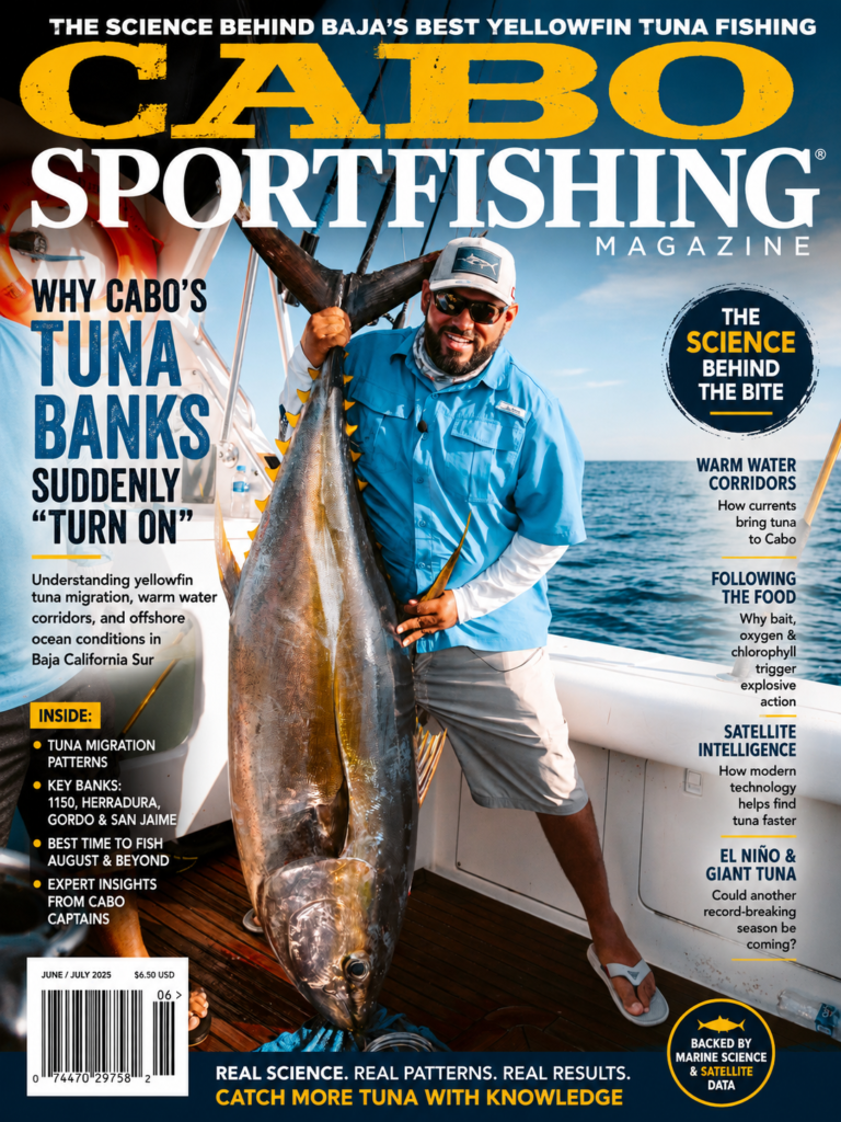 Why Cabo’s Tuna Banks Suddenly “Turn On” 