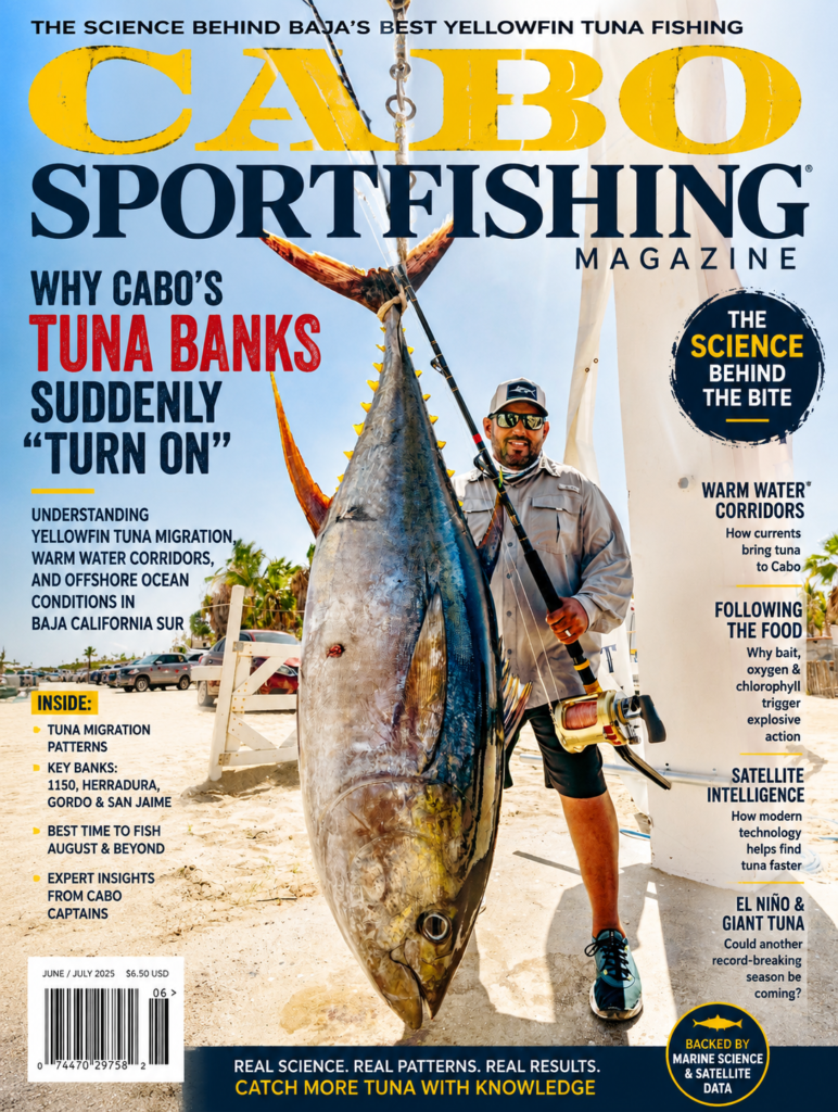 Why Cabo’s Tuna Banks Suddenly “Turn On” 1