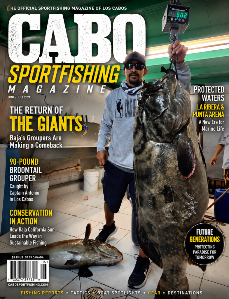 Why Grouper Fishing in Baja California Sur Is a Sign of a Healthier Ocean