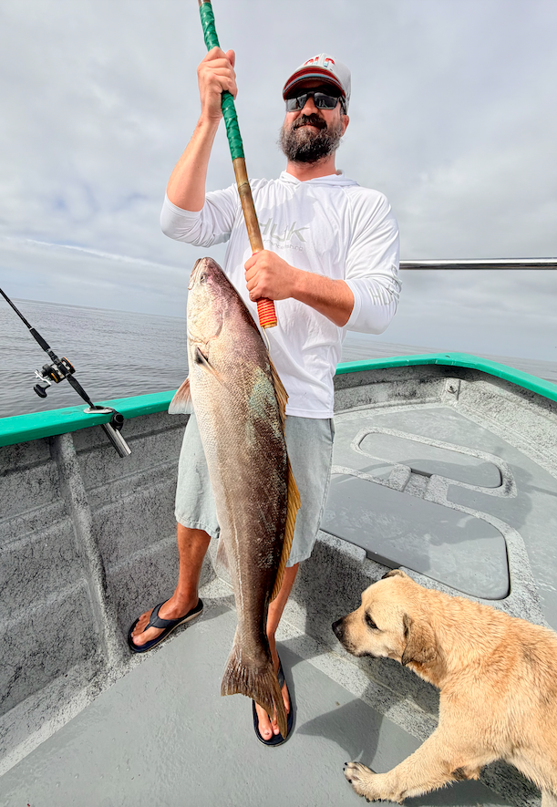 Lost at Sea: The Dog We Rescued One Mile Offshore at Cedros Island 4 Lost at Sea: The Dog We Rescued One Mile Offshore at Cedros Island
