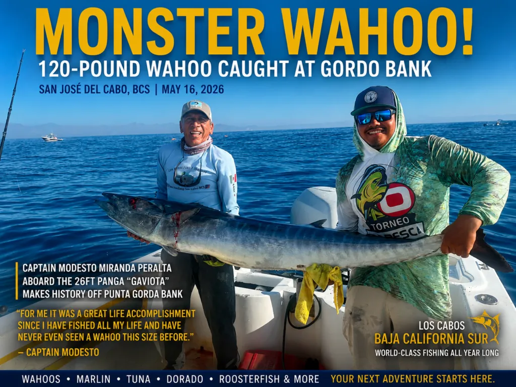 Monster 120-Pound Wahoo Caught at Gordo Bank