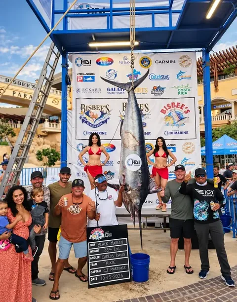 Team Trixie with a 334-pound black marlin at the Bisbee's Los Cabos Offshore 2026 weigh-in scale