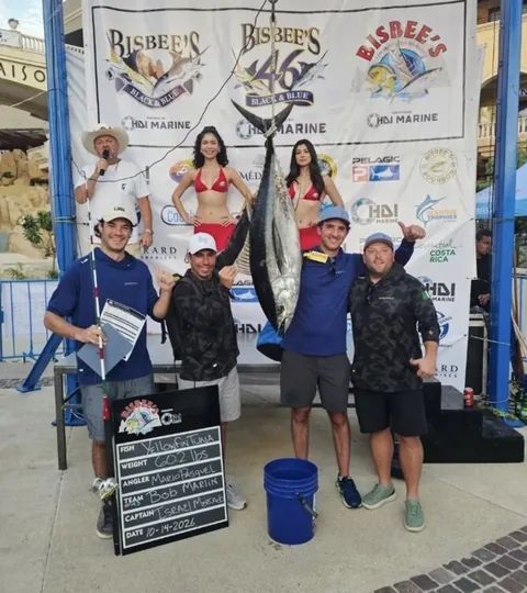 Team Bob Marlin’s yellowfin tuna at the Bisbee’s tournament scale on October 14, 2026