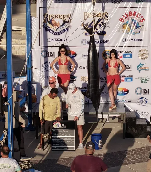 El marlín azul de 246 libras de Team Margarita Garden Grill suspendido en el pesaje de Bisbee’s del 14 de octubre de 2026, con un tablero que registra el peso, al pescador Mark Bedford y al capitán Jesus