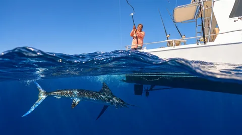 A striped marlin swims below the waterline as a sportfishing boat and angler watch from above.