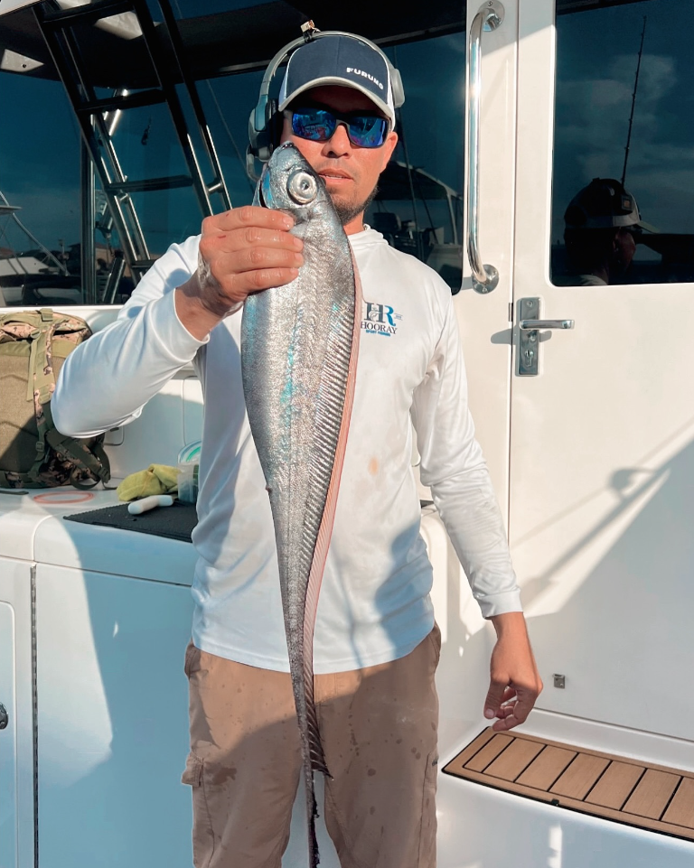 Polka-Dot Ribbonfish in Cabo