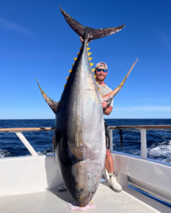 World record yellowfin tuna