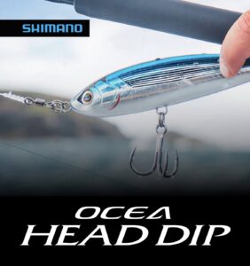 SHIMANO Ocean Head Dip lure
