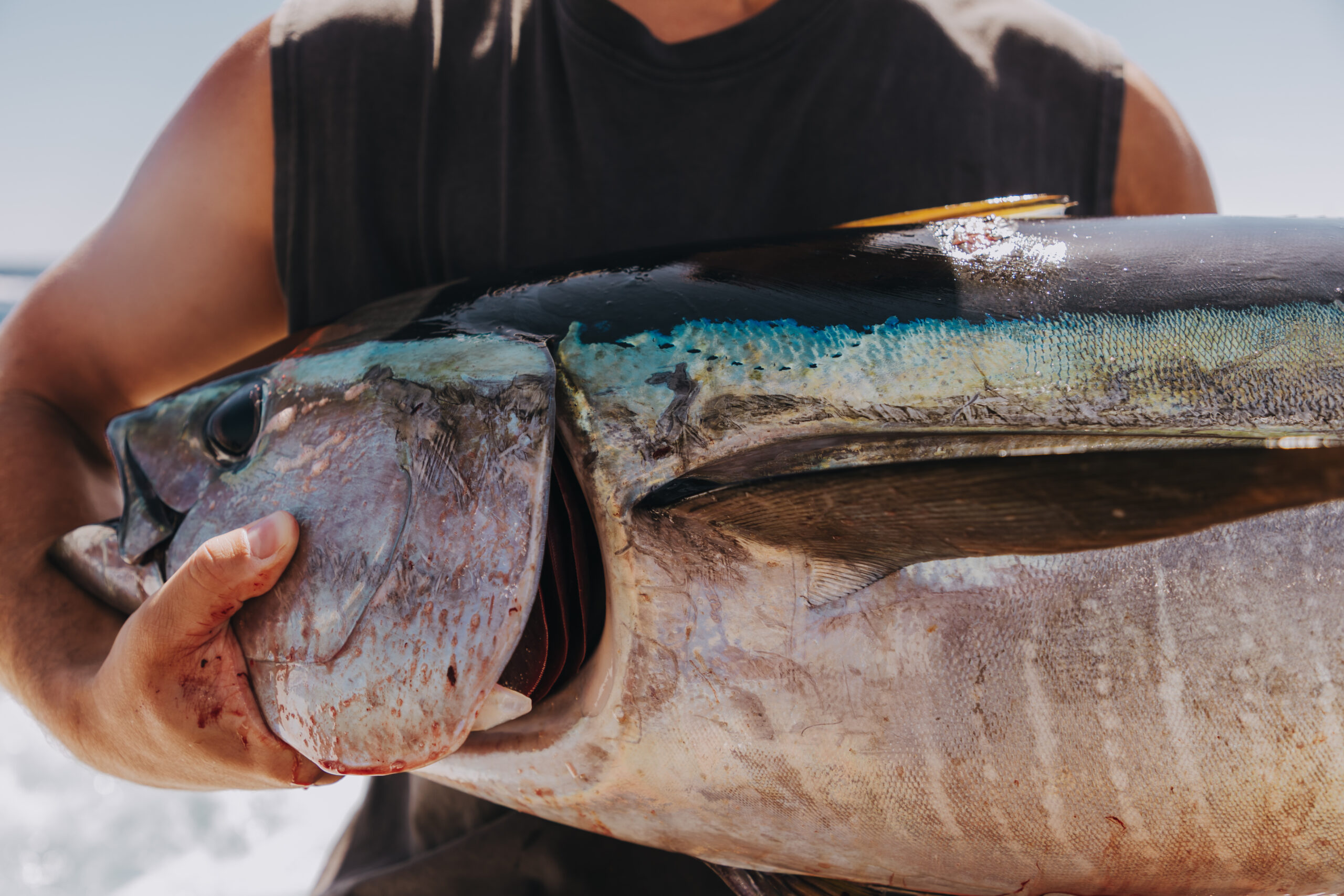 East Cape Fishing Report (2026)